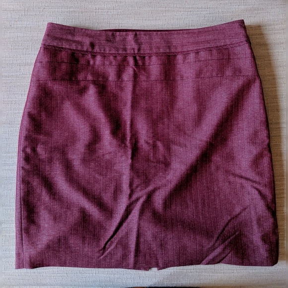 The Limited Skirt - Picture 2 of 8